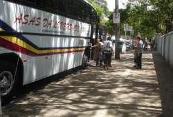 TEATRO - O GATO DE BOTAS